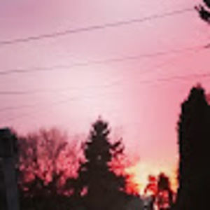 Meet your Posher, Natasha